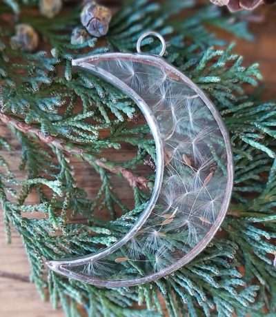 Paly Glass dandelion moon frame