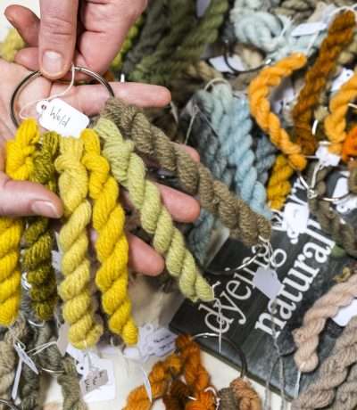 Ria Burns Knitwear Dyeing Yarn Naturally Samples
