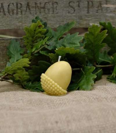 acorn candle devin image