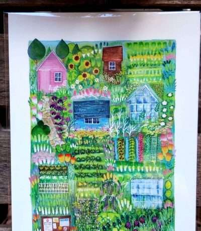 allotment gardens