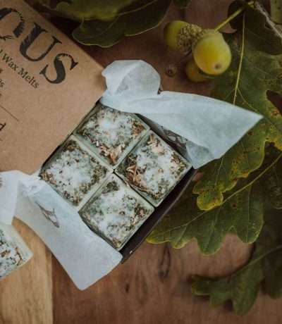 Ancient Woodland Wax Melts