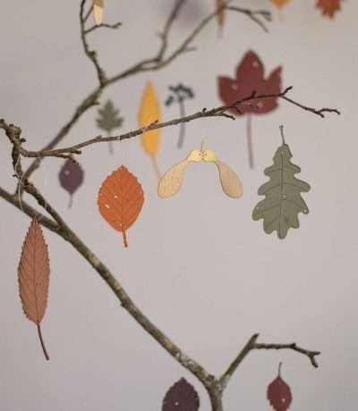 autumn leaves large set hannah nunn 1