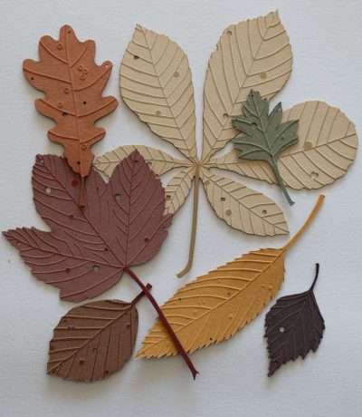 autumn leaves set of 7