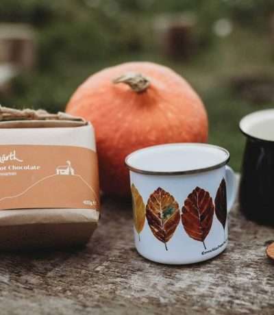 cinnamon hot chocolate