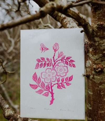 Becca Thorne Dogrose & Bumblebee lino print