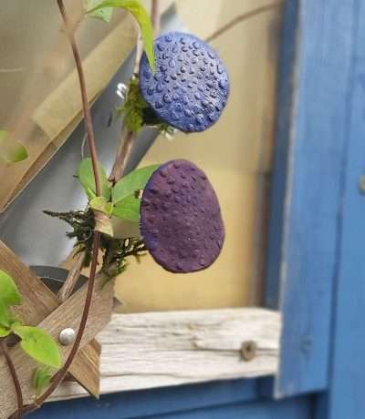 blue and purple clip on mushrooms