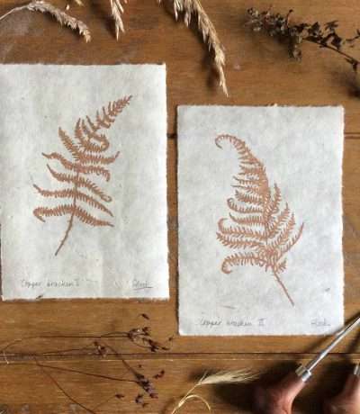 bracken prints duo
