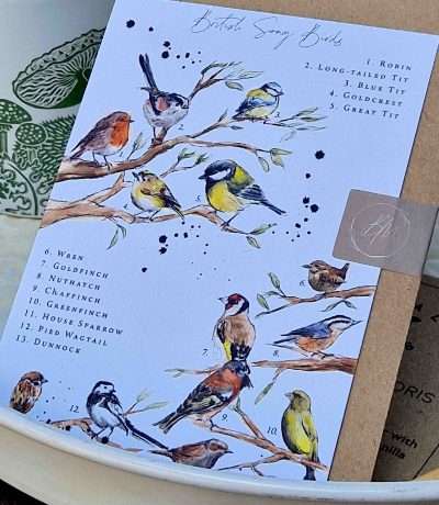 brooke marie songbirds card alt