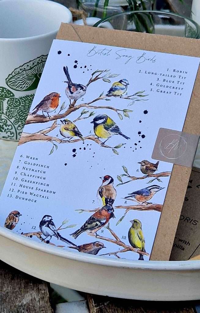 brooke marie songbirds card alt
