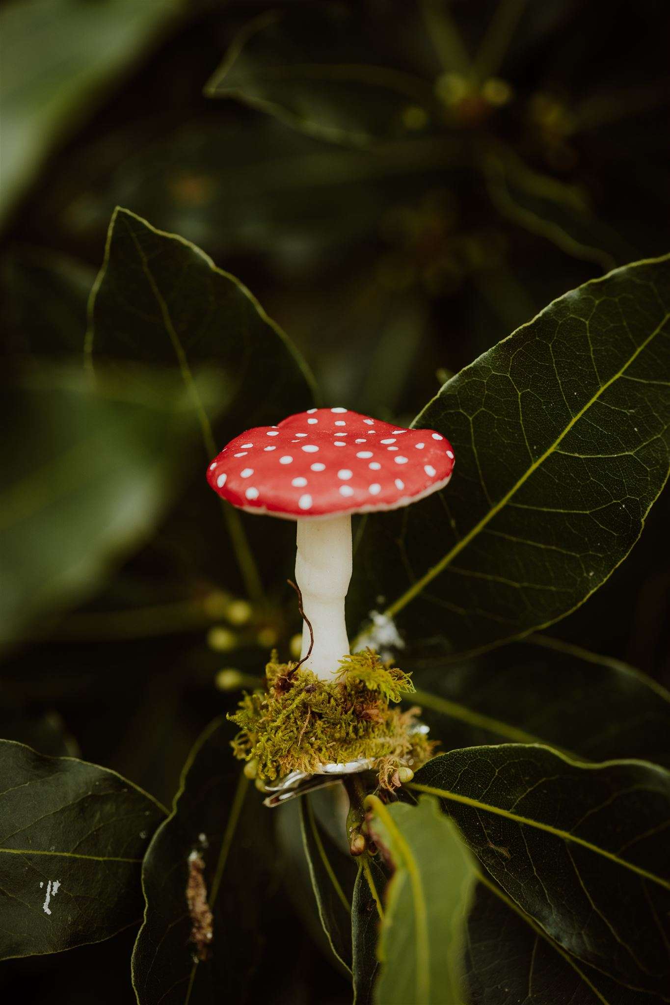 Clip on mushroom red and white