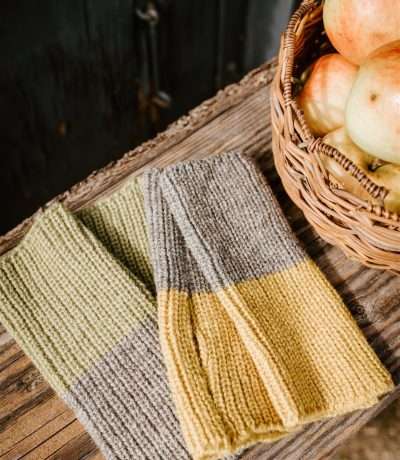 goldenrod and cosmos mitts