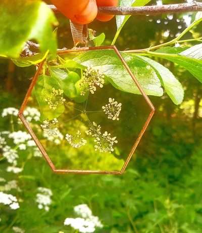 cow parsley hexagon copper