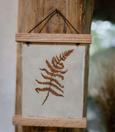 sam bracken print