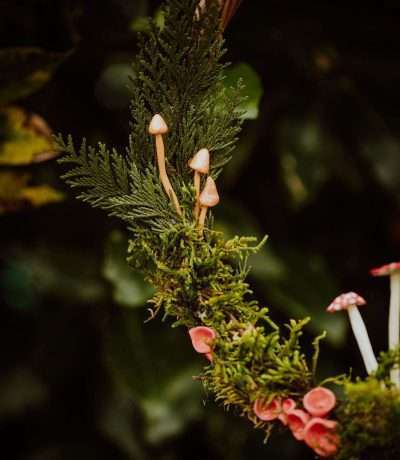 detail-on-side-of-mushroom-wreath