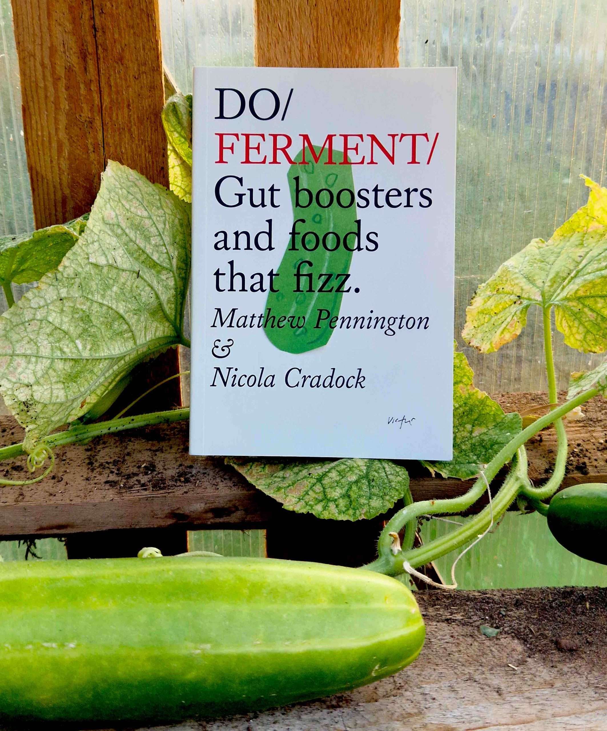 do ferment book