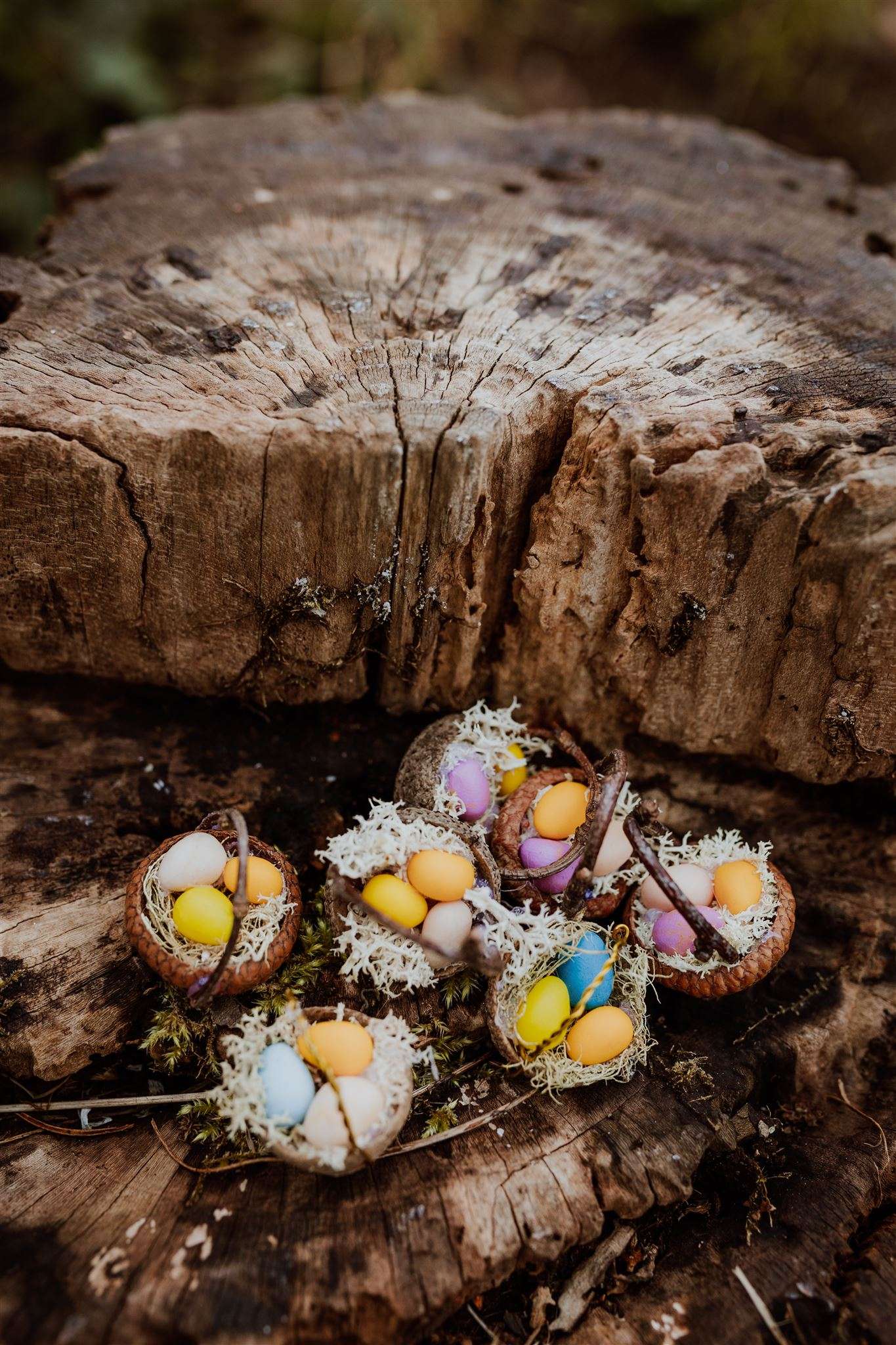 Acorn Cup Easter Baskets - Image 2