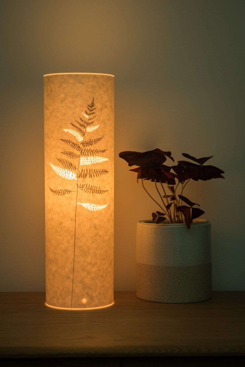fern lamp 1
