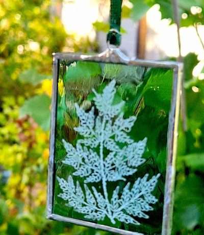 fern on green glass frame