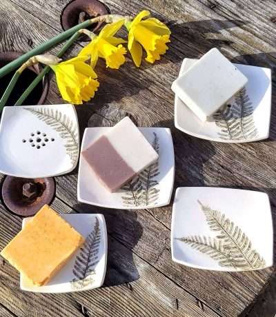 fern ceramic soap dishes group