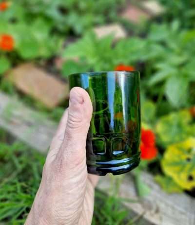 fern tumbler in hand