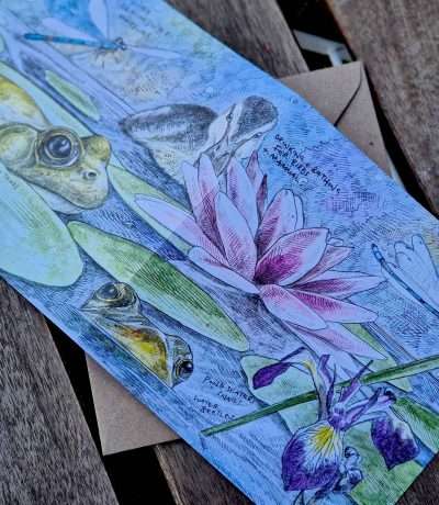 flat pond card