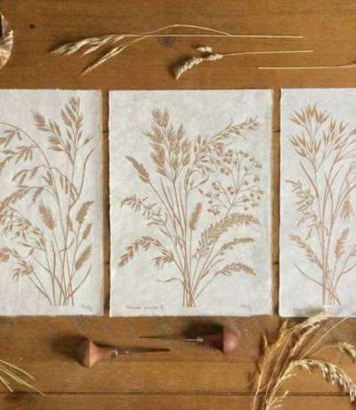 grasses gold trio