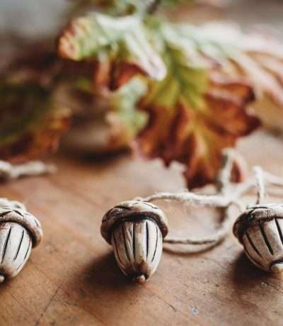 hanging acorns