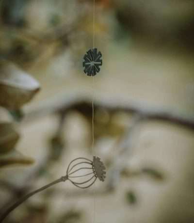 hanging poppy seed heads