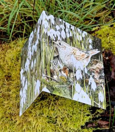 hannah snowdrop bird card top down