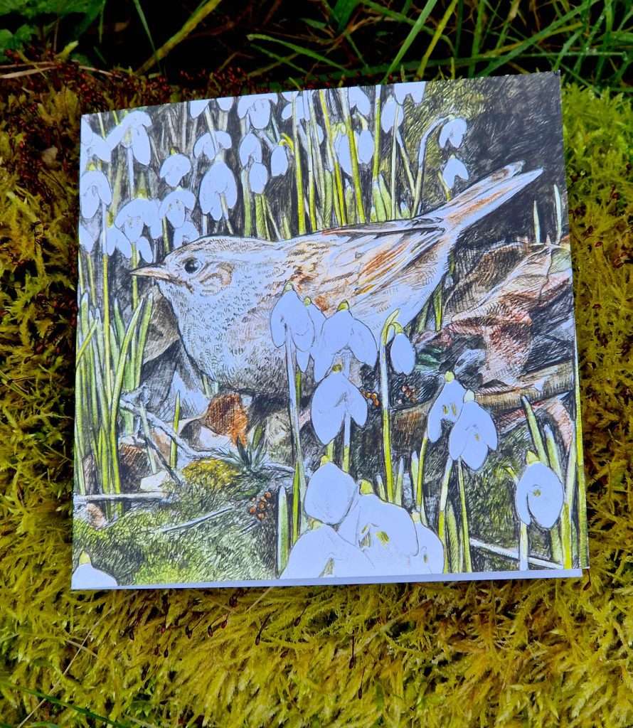 hannah snowdrops bird card