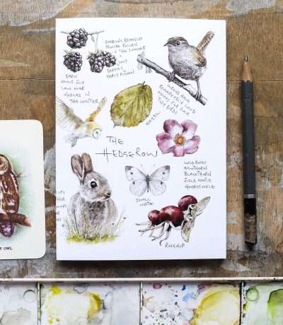 hedgerow notebook
