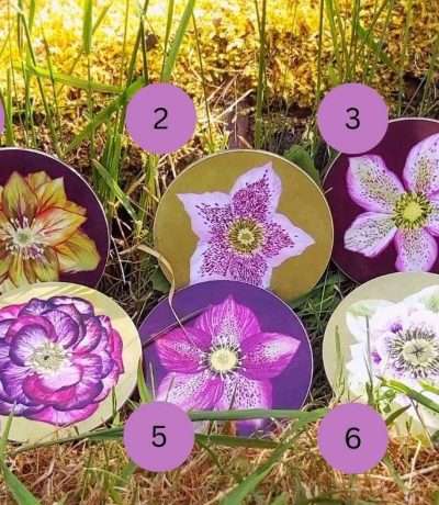 hellebore coasters with numbers
