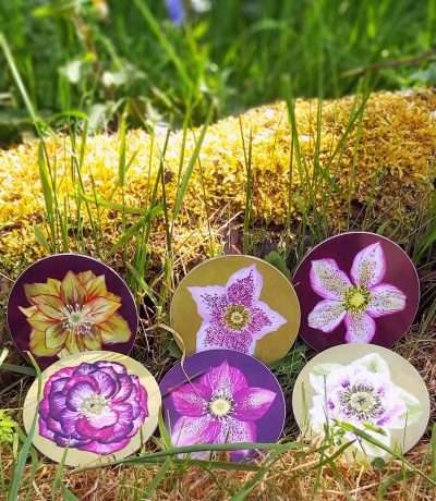 hellebores coasters group