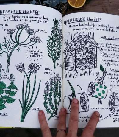 hello nature activity book inside