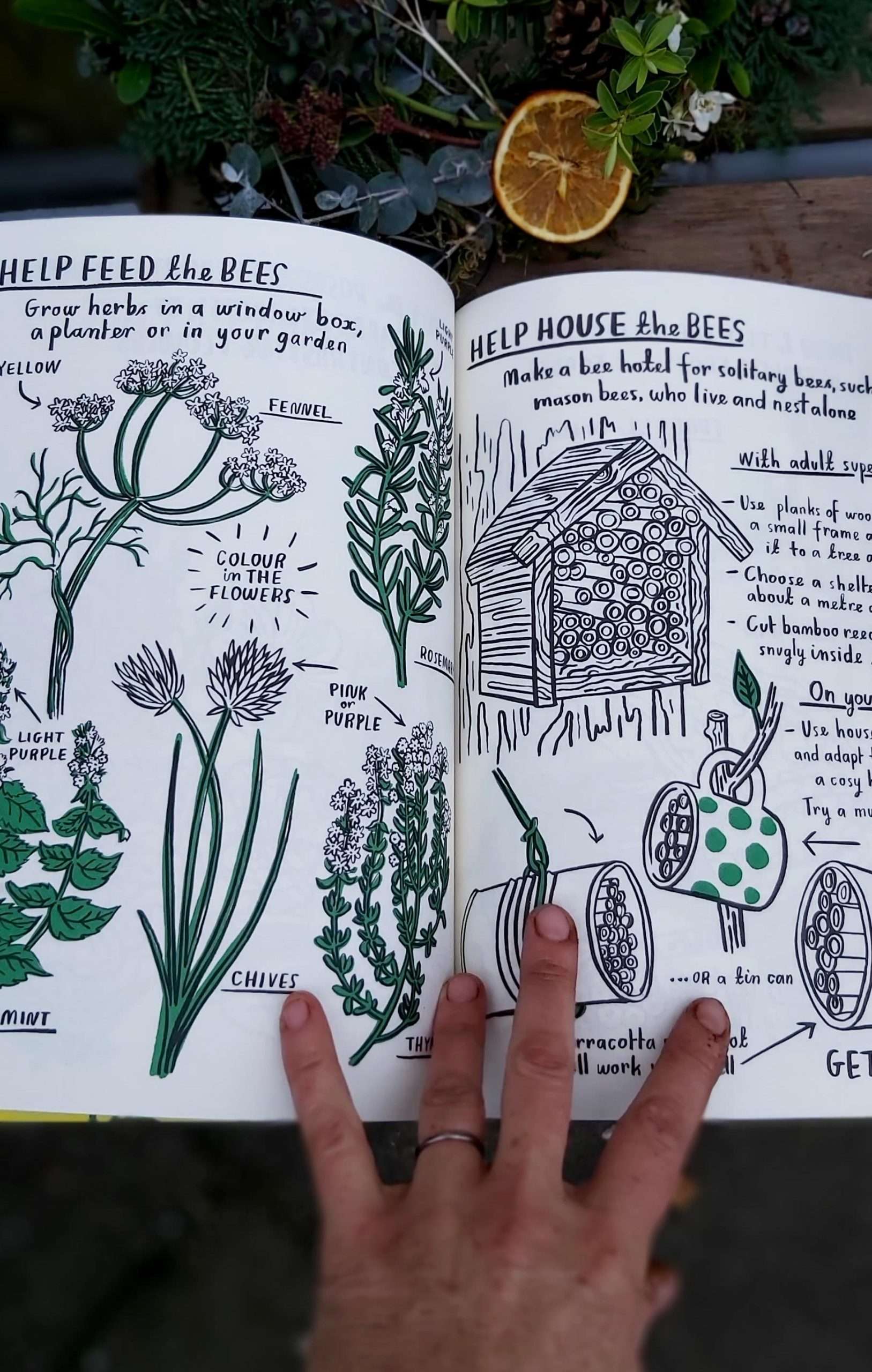 hello nature activity book inside
