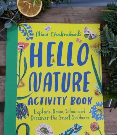 hello nature activity book