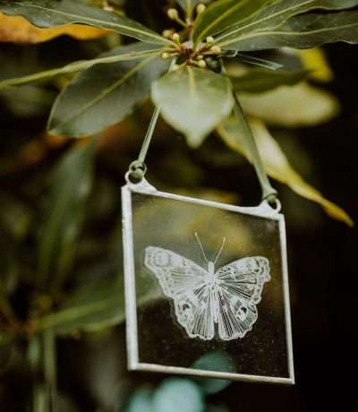 butterfly glass frame