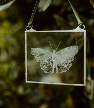 butterfly engraved frame