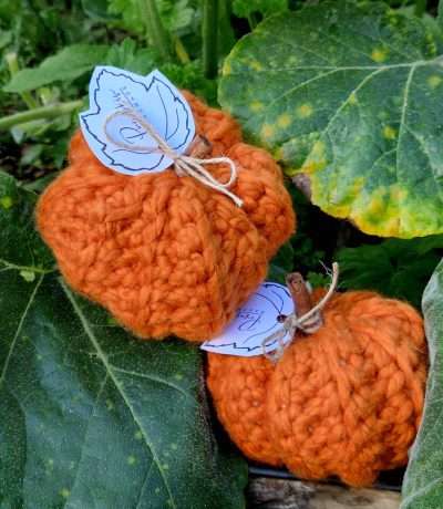 kate pumpkins further back