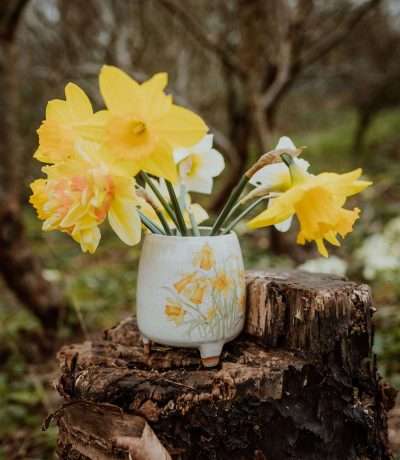 Daffodil Stoneware Footed Vase