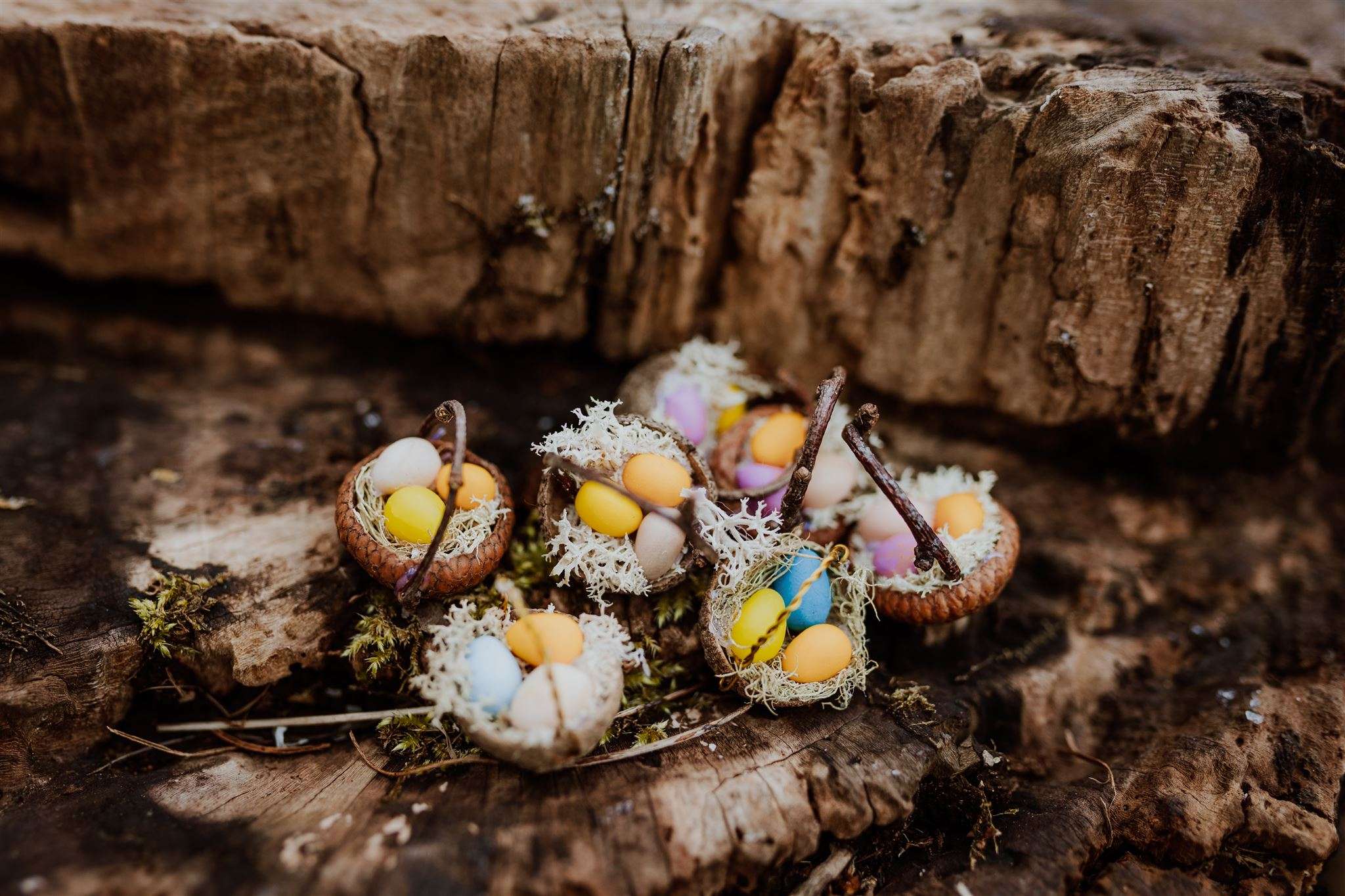 Acorn Cup Easter Baskets