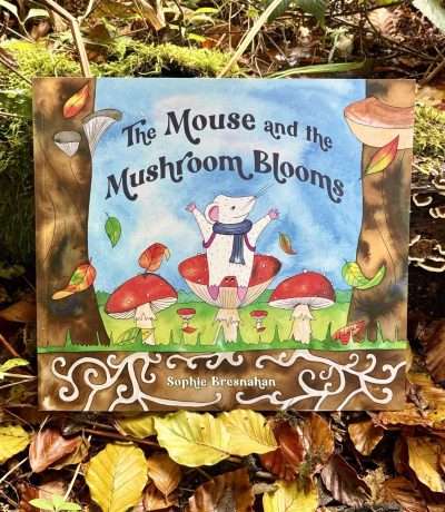 mouse and mushroom book main
