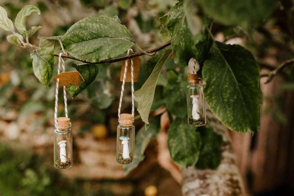 mushroom bottles group