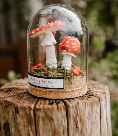 mushroom dome red and white