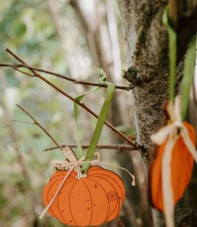Wooden pumpkins main