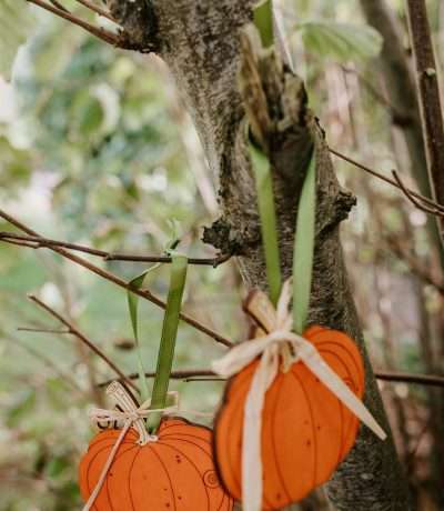 Wooden pumpkins alt