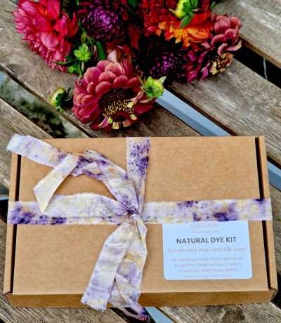 natural dye kit