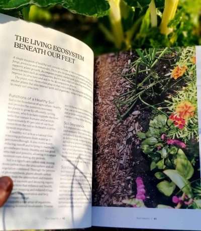nettles and petals inside pages