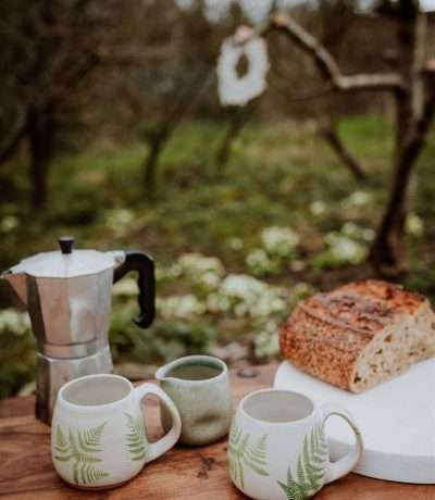 Fern mugs main lifestyle