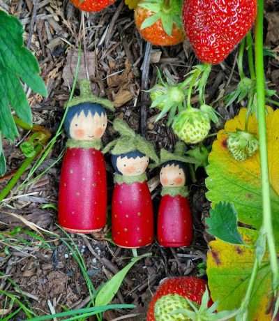 new strawberry people